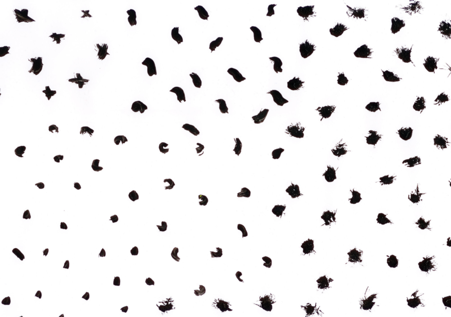 PACK DE HOJAS DE GUARDA - Imagen 11
